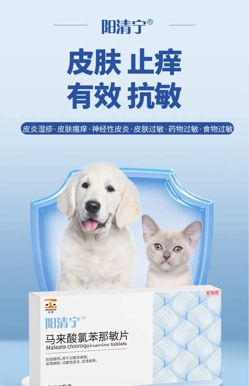 狗狗皮炎怎么治