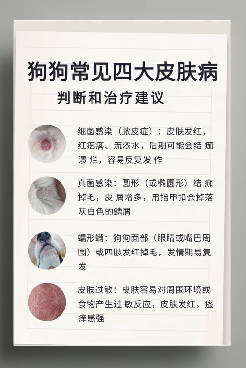 狗狗过敏性皮炎用什么药?