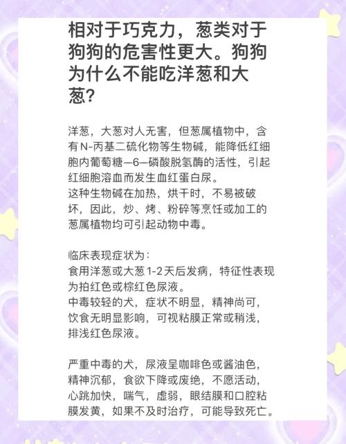 狗吃了一点大葱花怎么办