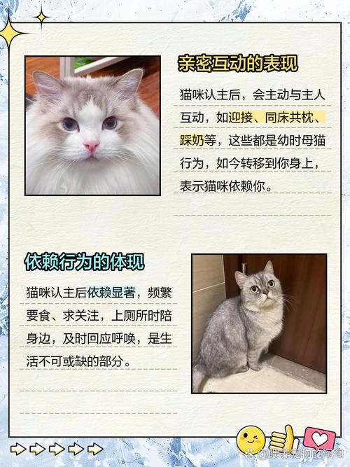 猫踩奶是认主人了吗