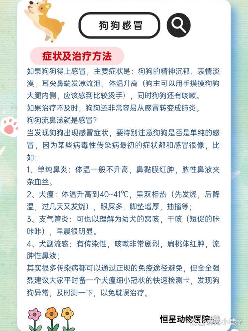 在家也能给狗狗做体检