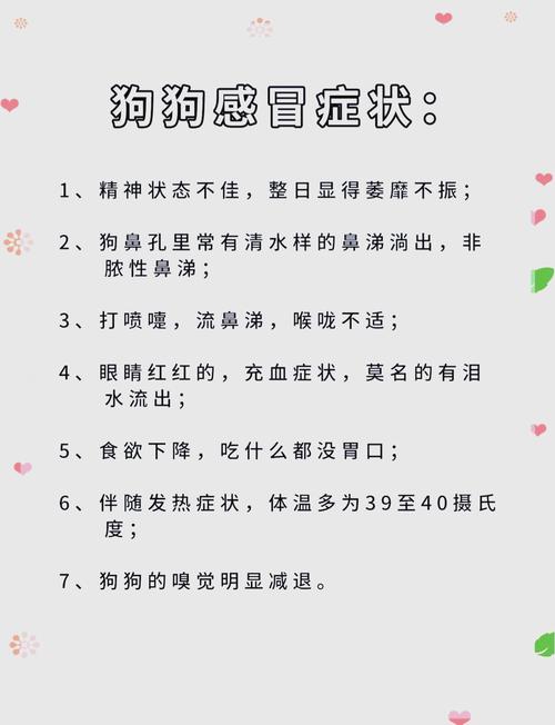 怎么知道狗狗是否感冒了?狗狗感冒了又该怎么办?