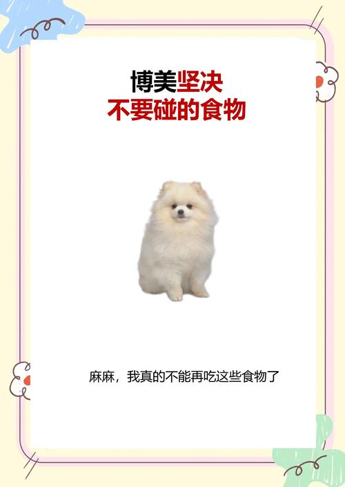 博美能不能吃煎蛋
