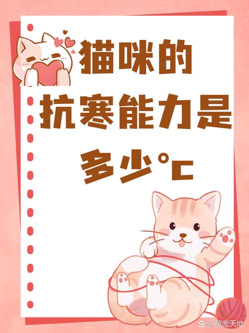 冬天房间没暖气可以养猫吗?