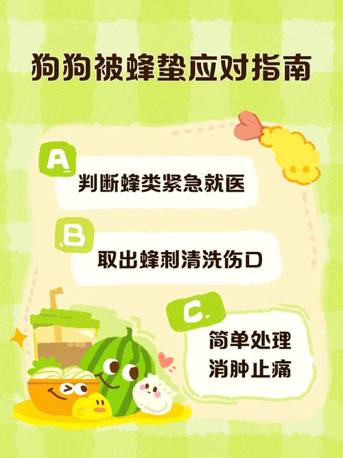 泰迪狗蜂子蛰了怎么处理
