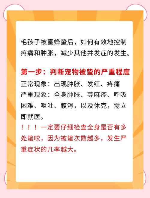 狗被蜜蜂蛰了怎么办