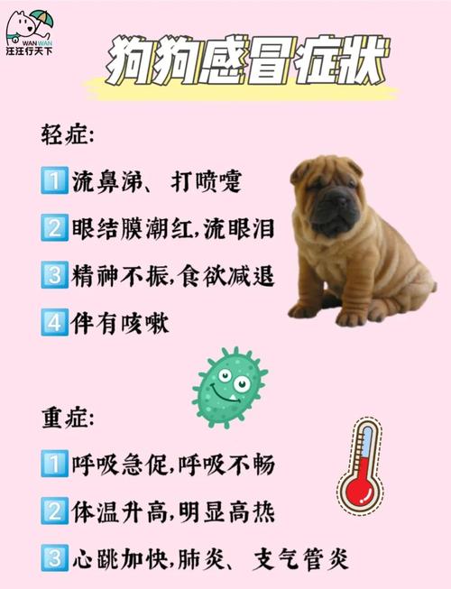 狗狗感冒有什么症状