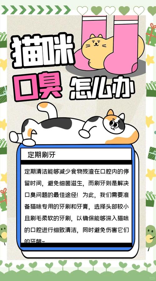 真没骗你!猫咪口臭可以解决
