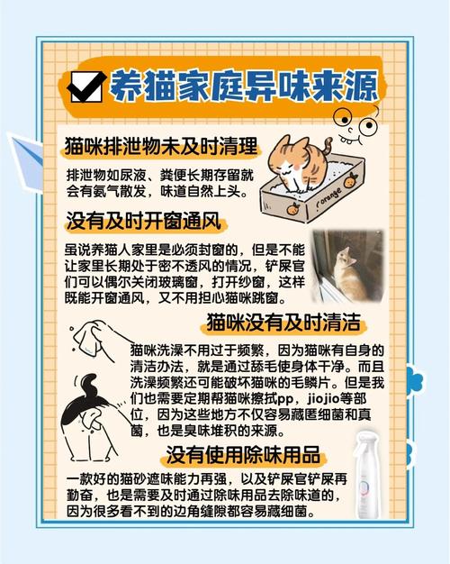 亲身经历:身为铲屎官,如何改变小猫咪口臭~