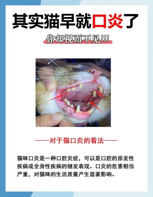 幼猫口炎症状