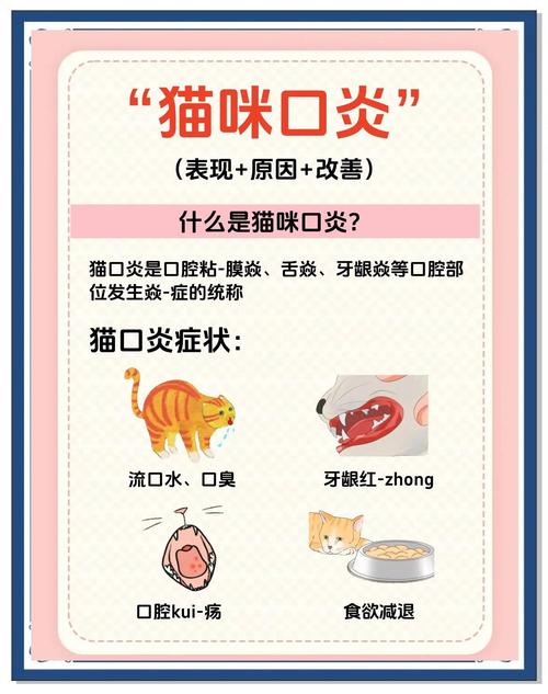 猫咪口炎传染吗