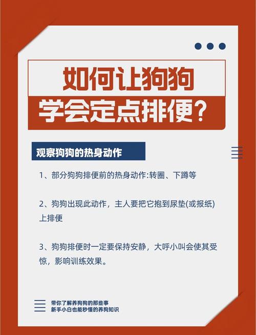 狗不在外面拉屎怎么办