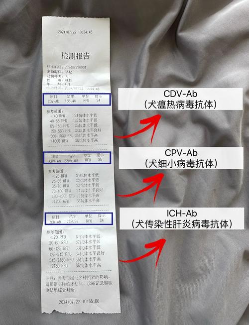 狗狗体检大概多少钱
