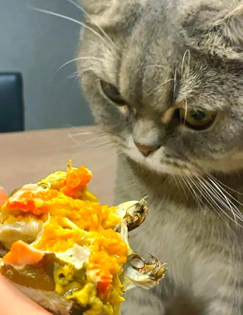 猫吃螃蟹会死么