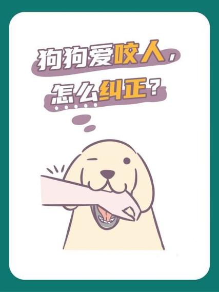 狗狗爱咬人?快看这四招!