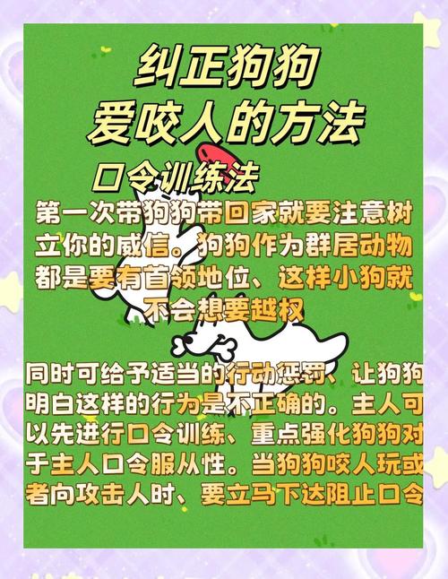 如何纠正狗狗咬人习惯犬咬人癖好纠正