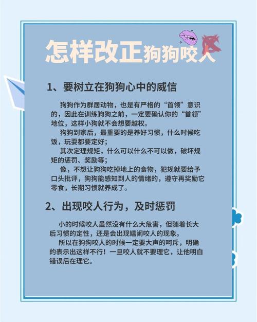 狗狗的行为问题越来越严重,摸头会咬,脚动了也会咬,该怎么办?