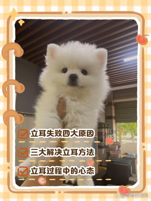 狗狗整天睡觉,耳朵,脚冰凉的,怎么回事呀?