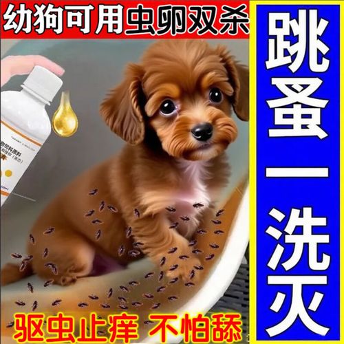撺手里ta不香吗~|教你在家给洗澡
