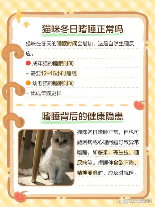 猫咪冬天不爱动