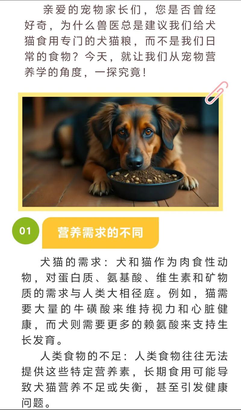 狗狗误食猫粮该怎么处理?