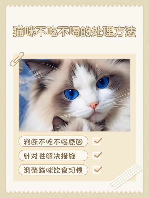 猫咪不吃不喝怎么办?