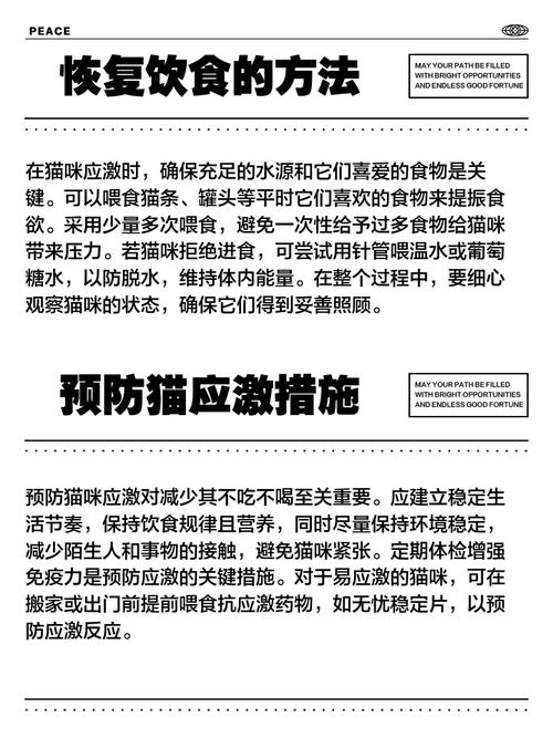 猫不吃不喝怎么办