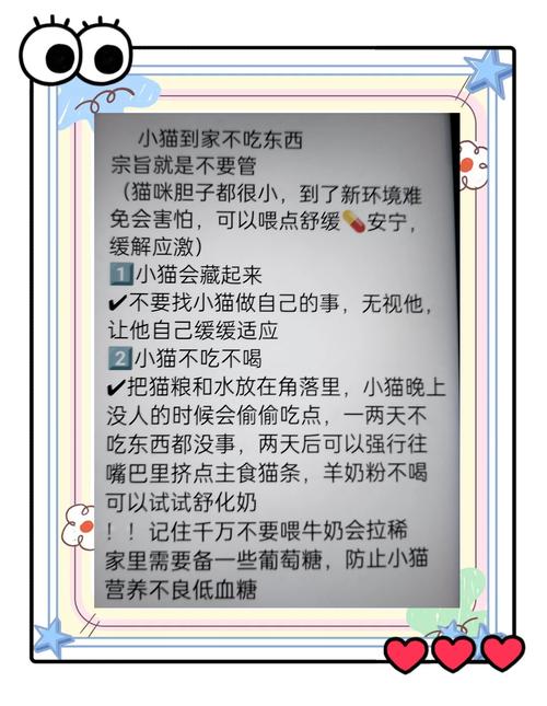怎么办,小猫到新家不吃不喝,小猫到新家2天不吃东西