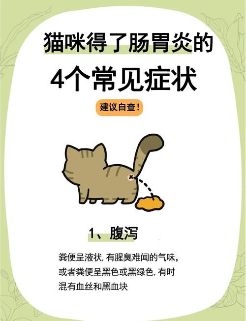 猫肠胃不好的症状