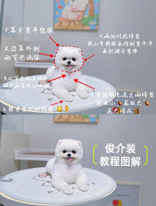 给狗狗美容双弯剪和上翘下翘有什么区别