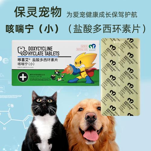 狗狗感冒了吃什么药