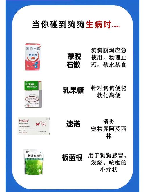 狗狗感冒咳嗽吃什么药好啊?