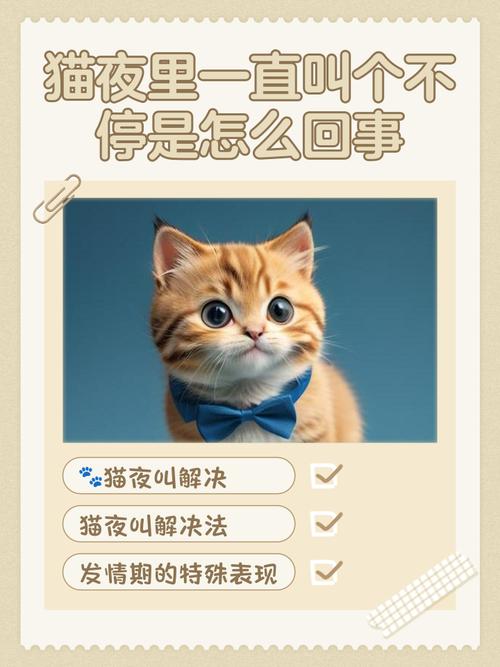 母猫绝育后还是一直叫