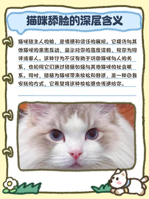 为什么猫咪喜欢舔人眼睛
