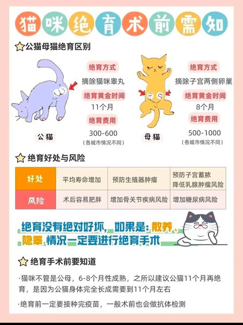 为什么要把猫给阉割了(为什么很多人都会给猫咪做绝育?)
