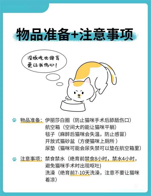 新手养猫问题:为什么要给猫咪做绝育?