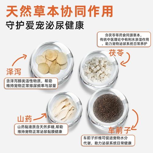 狗狗膀胱结石怎么治疗比较好