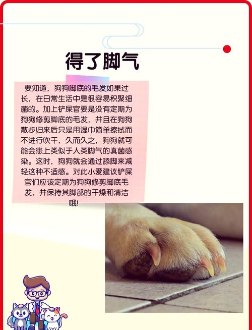 狗狗咬人怎么训练