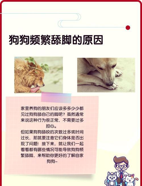怎么训练狗狗不咬人