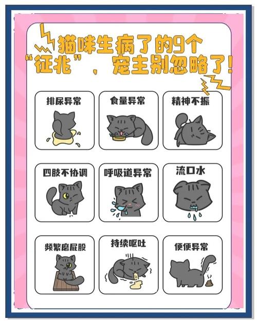 猫咪生病10种症状
