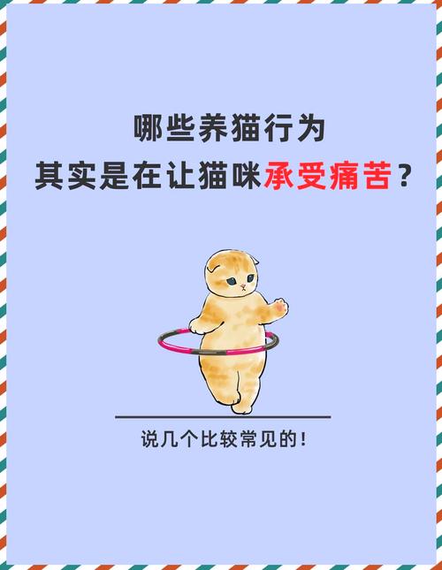 猫咪生病的几个征兆~多懂一点!