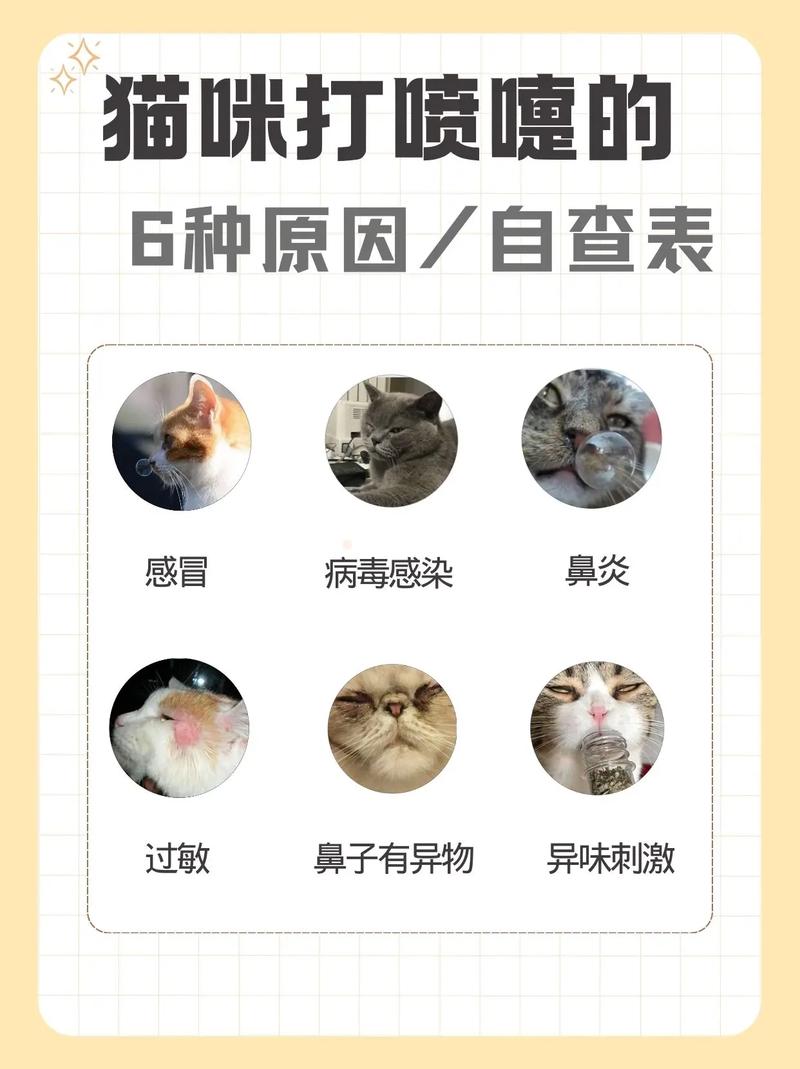 猫咪老打喷嚏但是很活跃
