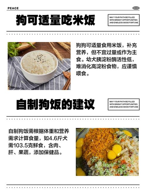狗狗为什么吃大米