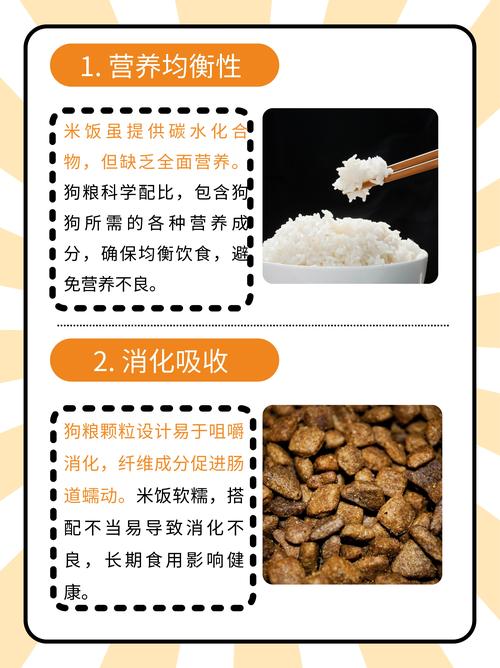 拉布拉多可以吃米饭吗米饭并不是狗狗需要的