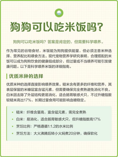 为什么狗狗不能吃大米
