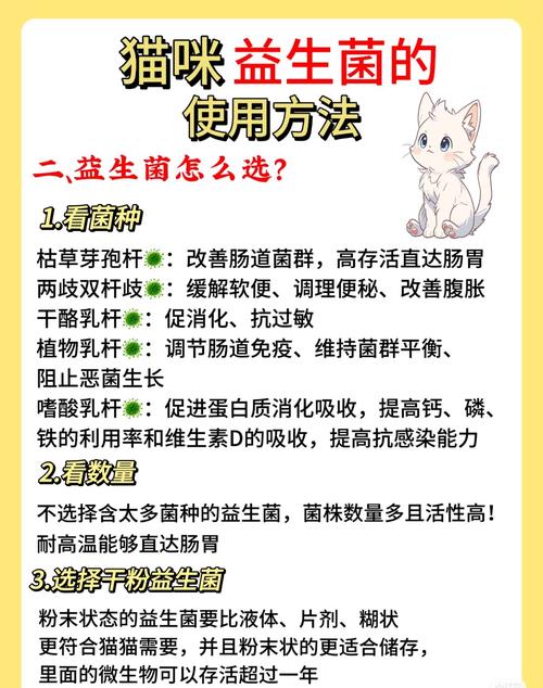 怀孕猫可以吃益生菌