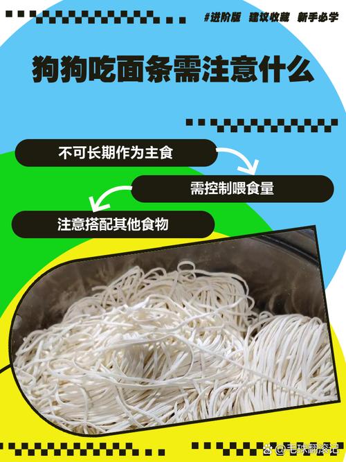 狗狗吃米粉可以吃吗