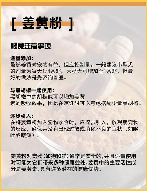 一个半月的狗狗吃婴幼儿米粉可以吗