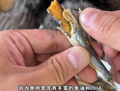 狗能吃鱼籽吗