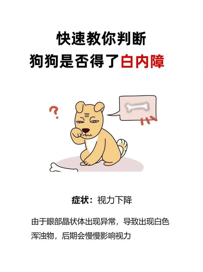 狗狗白内障病因症状与治疗